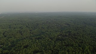 4.8K aerial stock footage flying by forest, partially hidden rural homes, Clifton, Virginia, sunset Aerial Stock Footage | AX76_013