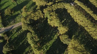 AX90_164 - 4K aerial stock footage Flying by Bayview New York Bay Cemetery, Jersey City, New Jersey, sunrise