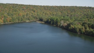 4K aerial stock footage tilt from lake to forest on the shore in autumn, Lake Saltonstall, Connecticut Aerial Stock Footage | AX91_146