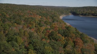 4K aerial stock footage of flying by forest near the shore, autumn, Lake Gallard, Connecticut Aerial Stock Footage | AX91_162