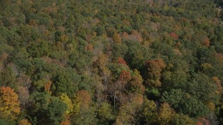 4K aerial stock footage of a forest in autumn, Lake Gallard, Connecticut Aerial Stock Footage | AX91_164