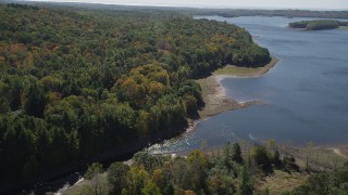 4K aerial stock footage of flying by lush forest on the shore in autumn, Lake Gallard, Connecticut Aerial Stock Footage | AX91_166