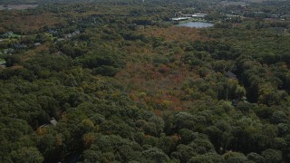 4K aerial stock footage of approaching suburban neighborhoods from forests, autumn, Guilford, Connecticut Aerial Stock Footage | AX91_183