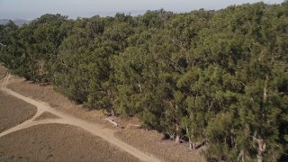 5K aerial stock footage of approaching and flying over the edge of a small forest, Nipomo, California Aerial Stock Footage | AXSF02_012