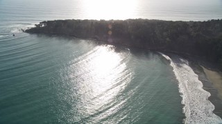 5K aerial stock footage of panning from a beach to trees by the ocean in San Simeon, California Aerial Stock Footage | AXSF03_040