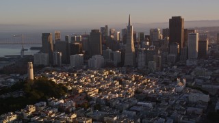 5K aerial stock footage orbit Coit Tower, tilt to reveal downtown skyline, Downtown San Francisco, California, sunset Aerial Stock Footage | AXSF10_026