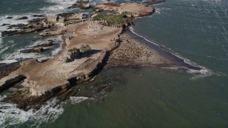 AXSF15_078 - 5K aerial stock footage of flying away from seals and sea lions on Año Nuevo Island, California