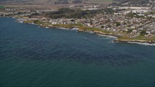 5K aerial stock footage of passing by kelp forests and coastal neighborhoods, Santa Cruz, California Aerial Stock Footage | AXSF15_091