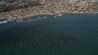 5K aerial stock footage of kelp forests near coastal neighborhoods, Santa Cruz, California Aerial Stock Footage | AXSF15_106