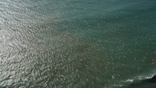 5K aerial stock footage of tracking seagulls flying near the coast, Big Sur, California Aerial Stock Footage | AXSF16_095