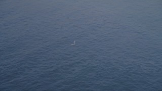 AXSF16_142 - 5K aerial stock footage of approaching a whale in the Pacific Ocean, California