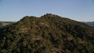 5K aerial stock footage of tilting from trees to approach a wooded mountain peak, San Luis Obispo County, California Aerial Stock Footage | AXSF17_009