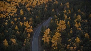 5K aerial stock footage of following a road through forest, Los Padres National Forest, California, sunset Aerial Stock Footage | AXSF17_058