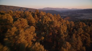 AXSF17_064 - 5K aerial stock footage fly over forest at sunset, San Luis Obispo County, California