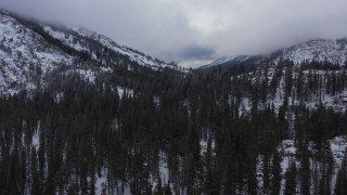 4K stock footage aerial video of evergreen trees and snow-covered mountain slopes, Inyo National Forest, California Aerial Stock Footage | CAP_015_019