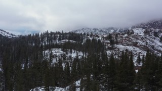 4K stock footage aerial video of flying over snowy evergreens and slopes, Inyo National Forest, California Aerial Stock Footage | CAP_015_023