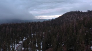 4K stock footage aerial video of flying over evergreen forest near snowy hill, Inyo National Forest, California Aerial Stock Footage | CAP_019_002