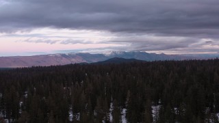 4K stock footage aerial video of distant mountains seen while flying over snowy evergreen forest, Inyo National Forest, California Aerial Stock Footage | CAP_019_007