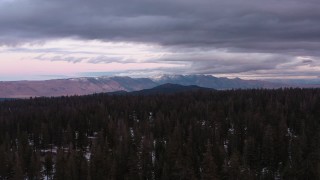 4K stock footage aerial video approach distant mountains seen from snowy evergreen forest, Inyo National Forest, California Aerial Stock Footage | CAP_019_008