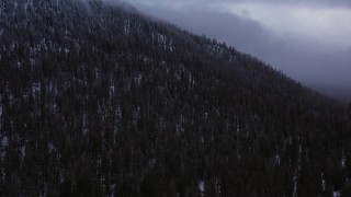 4K stock footage aerial video of evergreen forest on snowy mountain slope, Inyo National Forest, California Aerial Stock Footage | CAP_019_009