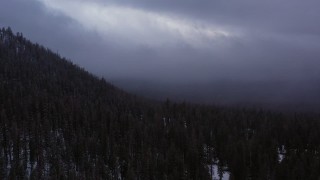 4K stock footage aerial video of panning across evergreen forest on snowy mountain slope, Inyo National Forest, California Aerial Stock Footage | CAP_019_010