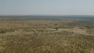 CAP_026_029 - HD stock footage aerial video of a wide view of the wide savanna, Zimbabwe