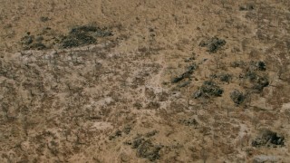 CAP_026_038 - HD stock footage aerial video of tilting to a bird's eye view of savanna, Zimbabwe