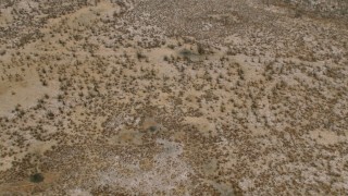 CAP_026_041 - HD stock footage aerial video of tilting to trees and brush in the savanna before flying away, Zimbabwe