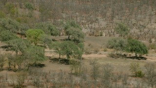 HD stock footage aerial video of flying by trees and brush lining a river in the open savanna, Zimbabwe Aerial Stock Footage | CAP_026_053