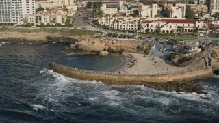 DCA08_245 - 4K aerial stock footage orbit seals on a beach, La Jolla, California