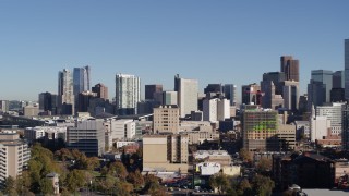 5.7K aerial stock footage ascend from trees to reveal the city's skyline in Downtown Denver, Colorado Aerial Stock Footage | DX0001_001658