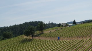 5.7K aerial stock footage fly uphill by rows of grapevines at Phelps Creek Vineyards in Hood River, Oregon Aerial Stock Footage | DX0001_009_013