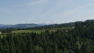 DX0001_009_016 - 5.7K aerial stock footage of flying over trees toward Mount Hood, and reveal Phelps Creek Vineyards in Hood River, Oregon