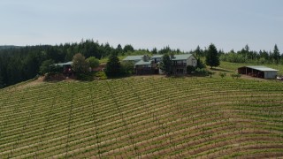 5.7K aerial stock footage of flying over Phelps Creek Vineyards toward a hilltop home in Hood River, Oregon Aerial Stock Footage | DX0001_009_017