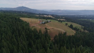 5.7K aerial stock footage wide angle orbit of Phelps Creek Vineyards in Hood River, Oregon Aerial Stock Footage | DX0001_015_003