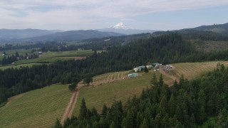 5.7K aerial stock footage orbiting a winery revealing Mt Hood, Hood River, Oregon Aerial Stock Footage | DX0001_015_006