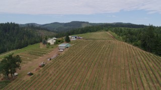 5.7K aerial stock footage flying over vineyards and tasting rooms, Hood River, Oregon Aerial Stock Footage | DX0001_015_009