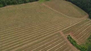 5.7K aerial stock footage approach and fly over grapevines, Hood River, Oregon Aerial Stock Footage | DX0001_015_017