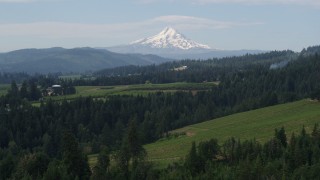 DX0001_015_022 - 5.7K aerial stock footage approaching grapevines with Mt Hood in the distance, Hood River, Oregon