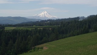 DX0001_015_025 - 5.7K aerial stock footage descend toward vineyards and Mt Hood, Hood River, Oregon