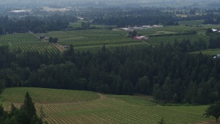 5.7K aerial stock footage of Phelps Creek Vineyards and neighboring orchards in Hood River, Oregon Aerial Stock Footage | DX0001_015_029