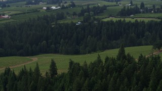 5.7K aerial stock footage tilt from vineyards on a hillside revealing orchards, Hood River, Oregon Aerial Stock Footage | DX0001_015_030