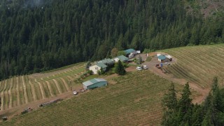 5.7K aerial stock footage of a hilltop winery and vineyards, Hood River, Oregon Aerial Stock Footage | DX0001_016_001