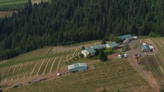 5.7K aerial stock footage of a hilltop winery and grapevines, Hood River, OR Aerial Stock Footage | DX0001_016_002