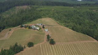 5.7K aerial stock footage of circling a winery among grapevines on a hilltop, Hood River, Oregon Aerial Stock Footage | DX0001_016_005