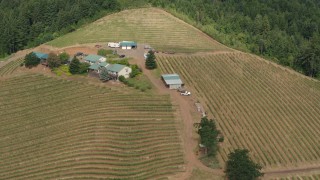 5.7K aerial stock footage flyby the winery and vineyards on a hilltop surrounded by trees, Hood River, Oregon Aerial Stock Footage | DX0001_016_008