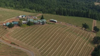 5.7K aerial stock footage approach and fly past a winery and vineyards in Hood River, Oregon Aerial Stock Footage | DX0001_016_009