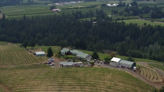 5.7K aerial stock footage orbit the Phelps Creek Vineyards in Hood River, Oregon Aerial Stock Footage | DX0001_016_012