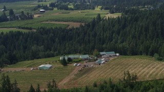 5.7K aerial stock footage of flying away from Phelps Creek Vineyards in Hood River, Oregon Aerial Stock Footage | DX0001_016_013