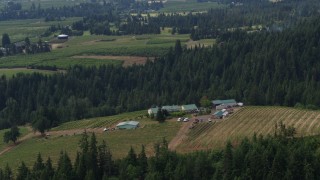 5.7K aerial stock footage of approaching and flying by the hilltop Phelps Creek Vineyards in Hood River, Oregon Aerial Stock Footage | DX0001_016_014